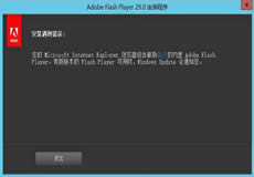 Windows Server 2016、2019顯示啟用Flash